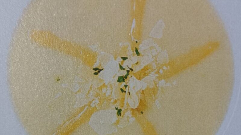Crema d’Asparagi e Montasio