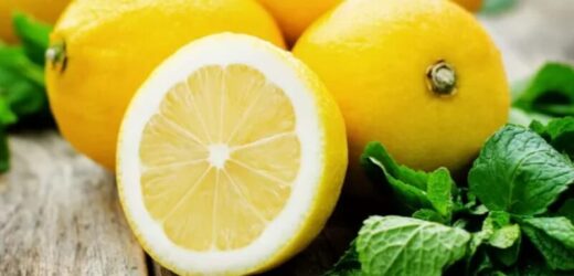 Limoni: le regole della conservazione