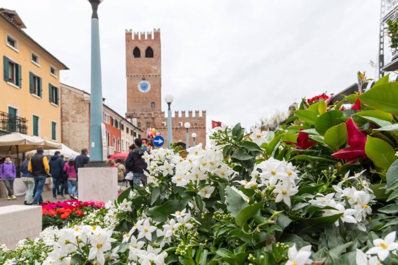 Noale in Fiore Domenica 12 Aprile 2026