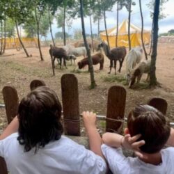 Dall’Amore per gli Animali uno Zoo pensato per il loro Benessere.