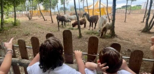 Dall’Amore per gli Animali uno Zoo pensato per il loro Benessere.