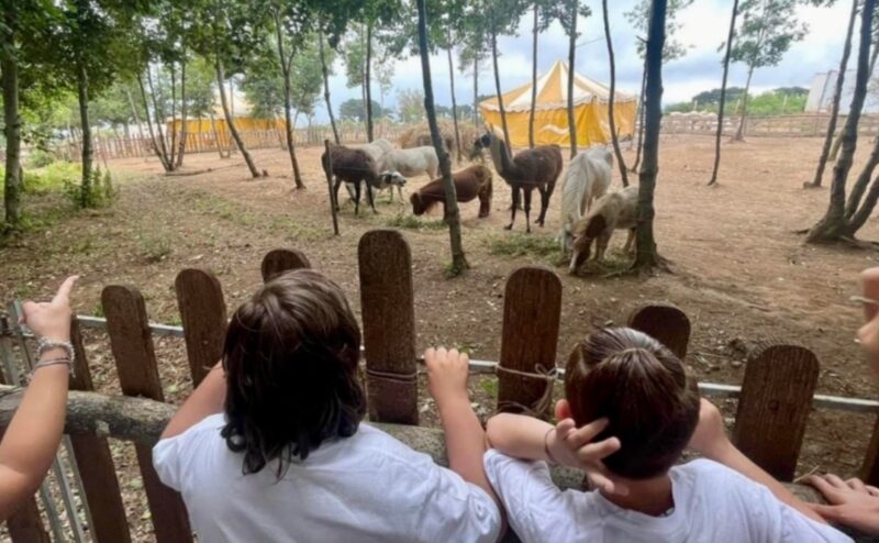 Dall’Amore per gli Animali uno Zoo pensato per il loro Benessere.