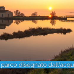 Parco Delta del Po, uno scrigno della Biodiversità tra Veneto ed Emilia Romagna