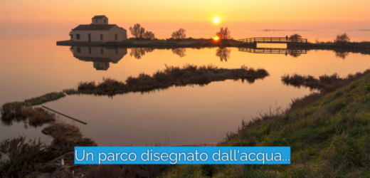 Parco Delta del Po, uno scrigno della Biodiversità tra Veneto ed Emilia Romagna