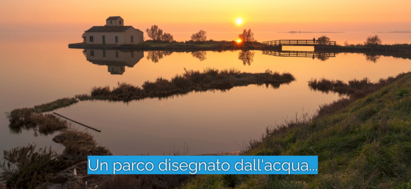 Parco Delta del Po, uno scrigno della Biodiversità tra Veneto ed Emilia Romagna